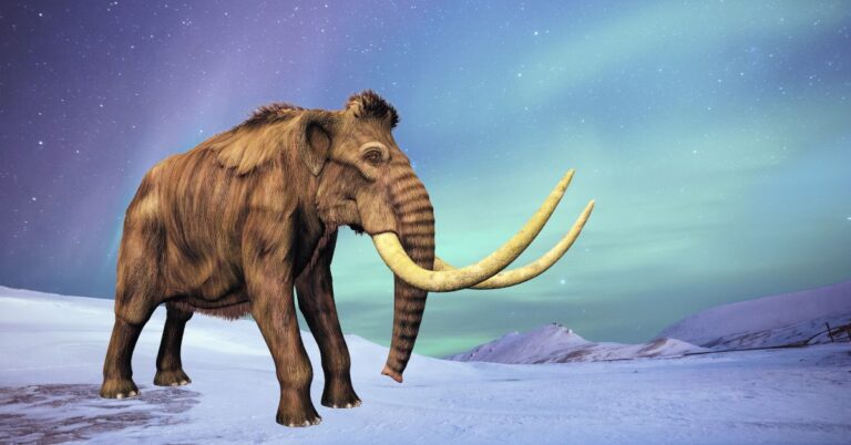 120+ Epic Mammoth Names