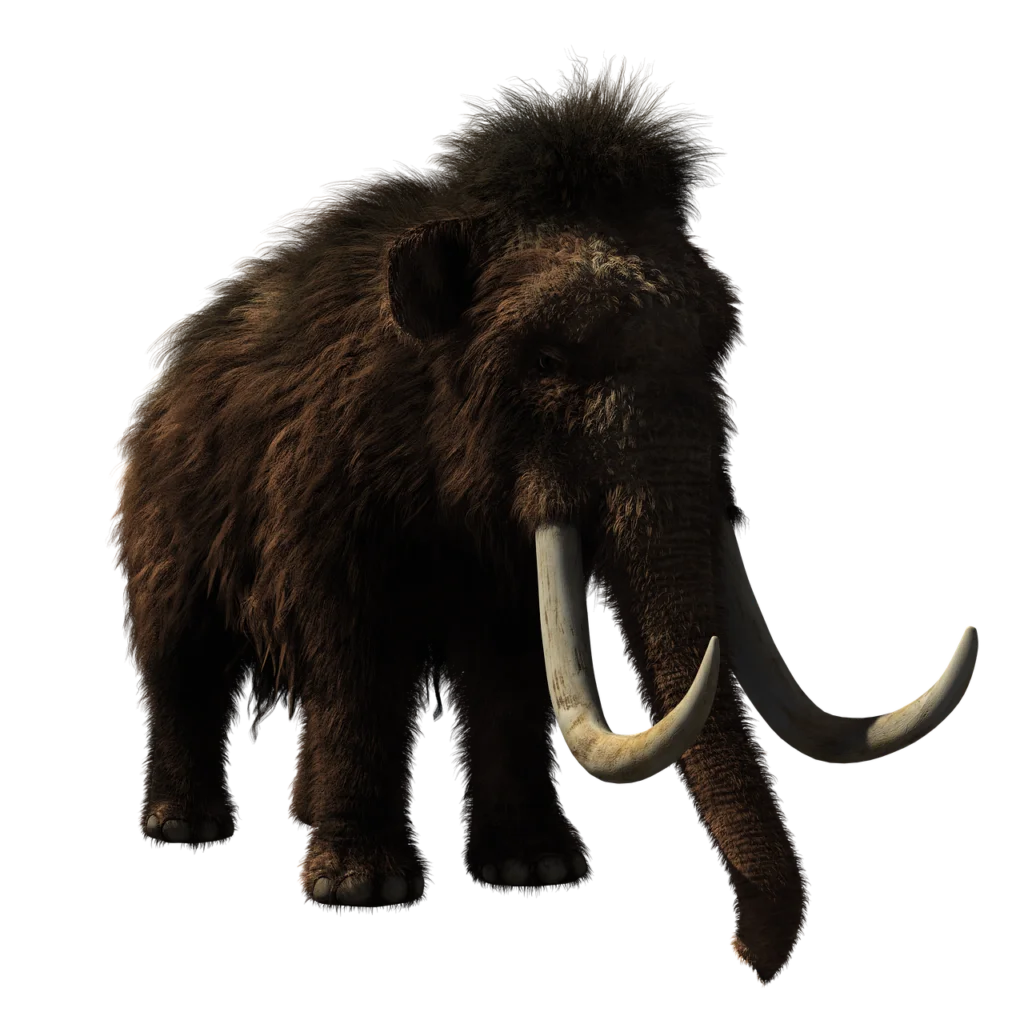 A woolly mammoth