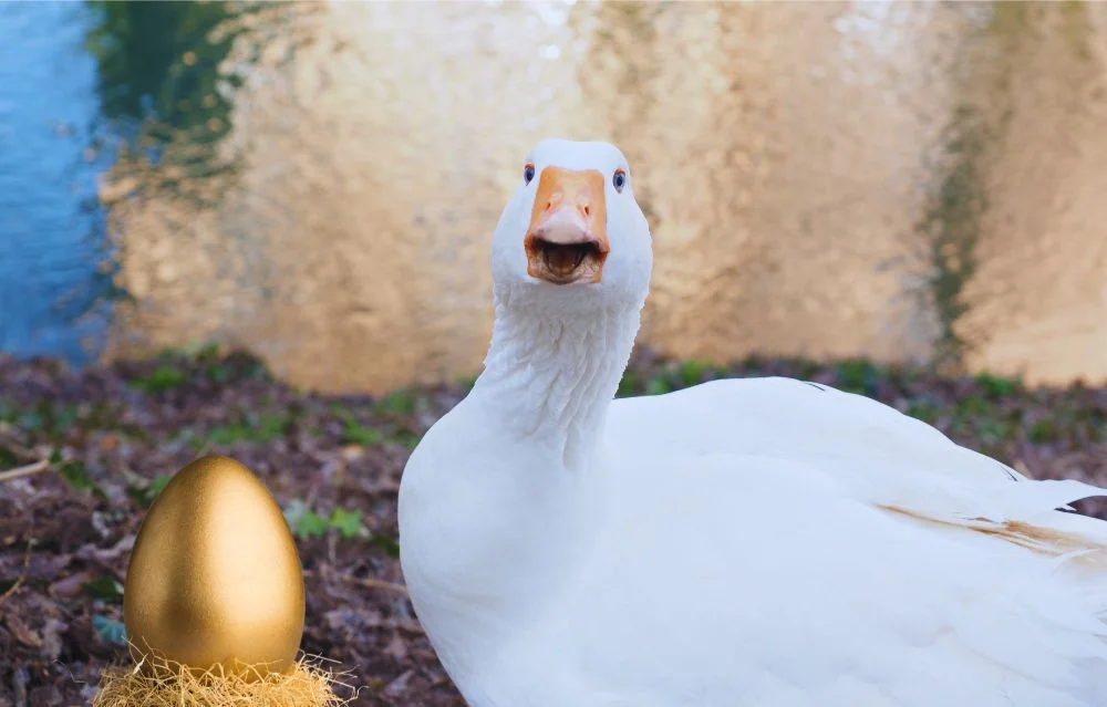 Famous goose names - A surprised white goose with a golden egg