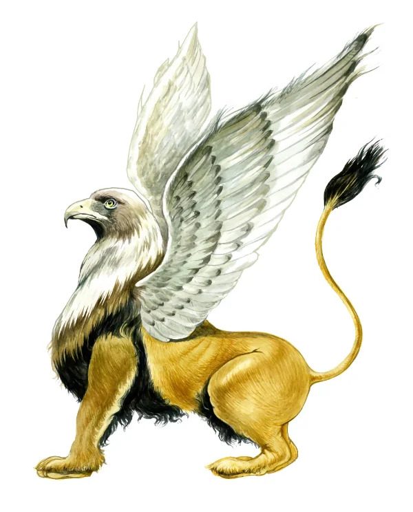 Griffin name - A griffin standing