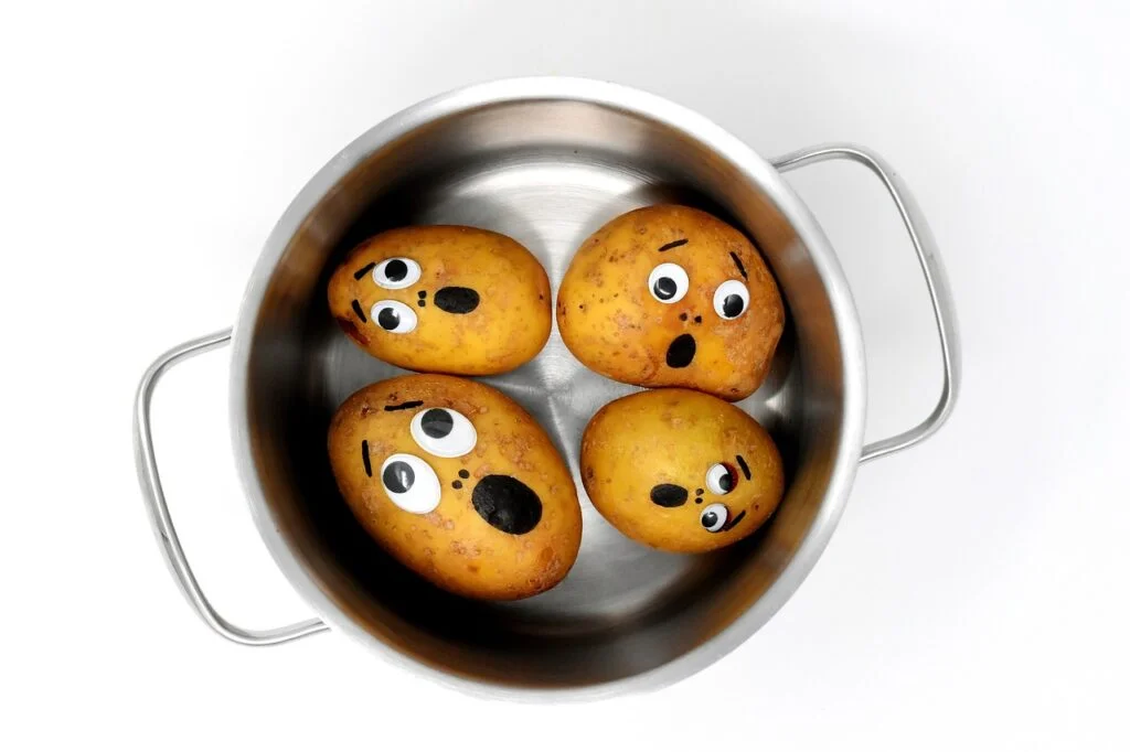 Names for a pet potato - Four horrified potatoes in a cooking pot
