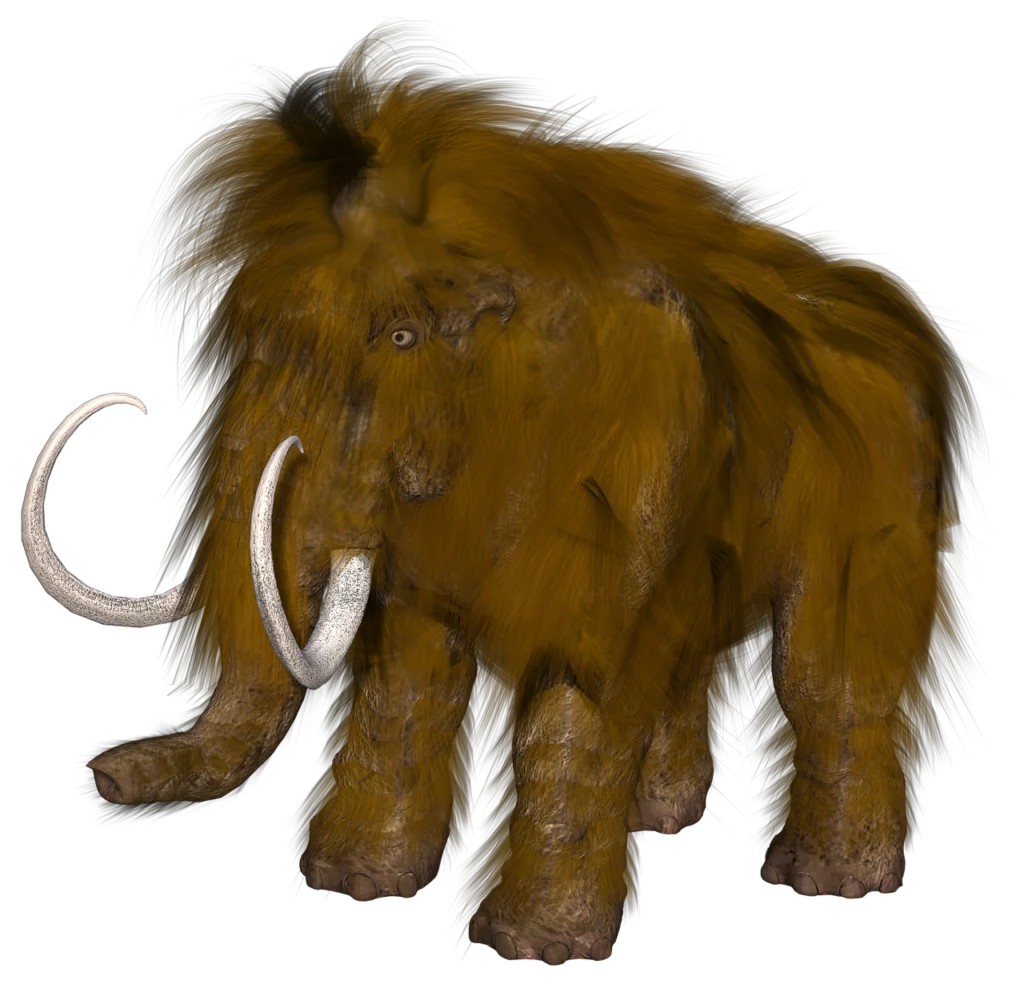 Cute woolly mammoth - A furry woolly mammoth on white background