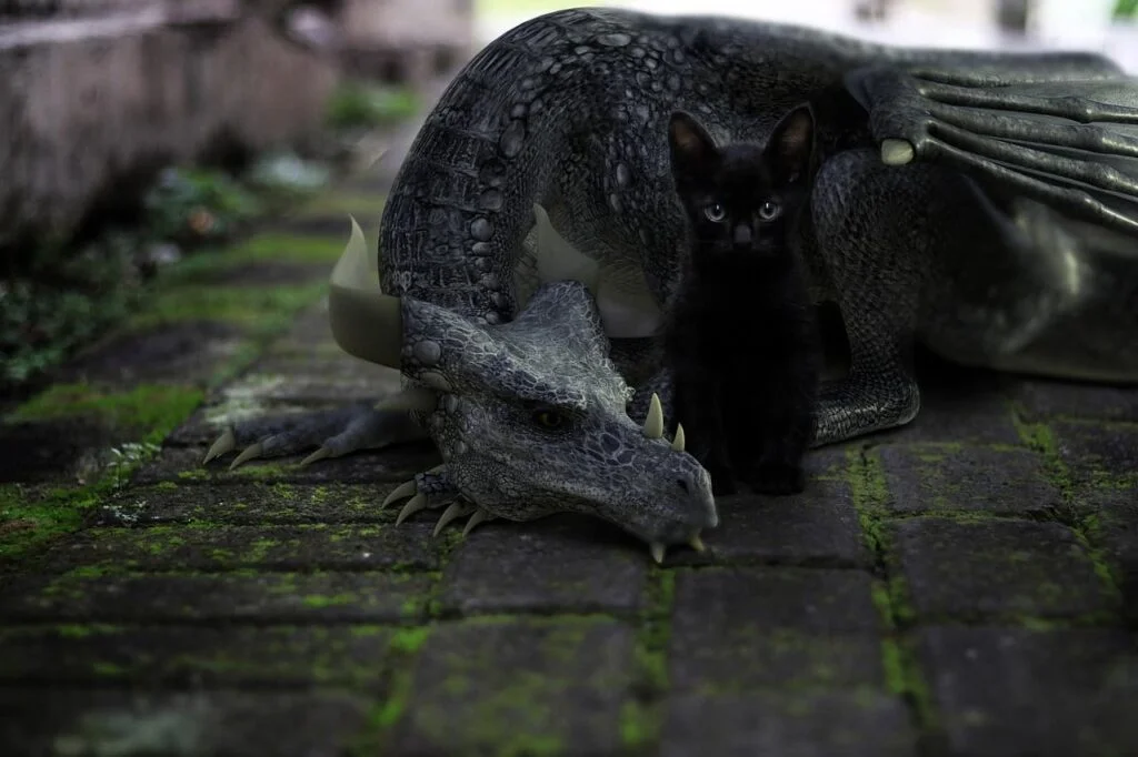 A black dragon with a black cat
