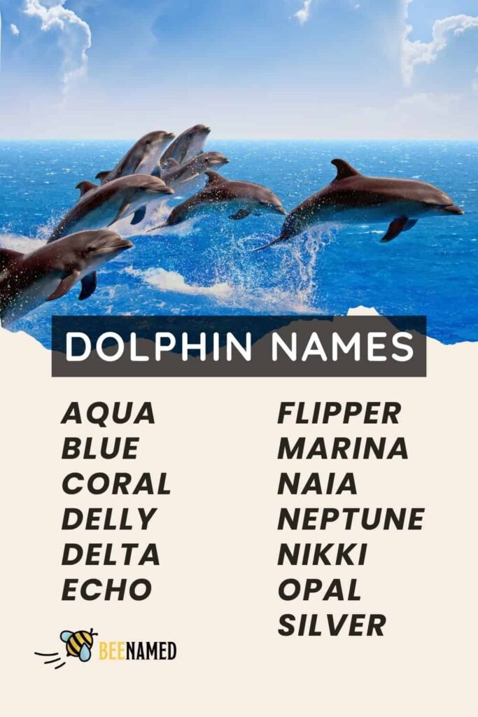 List of dolphin names with a group of dolphins jumping in the ocean